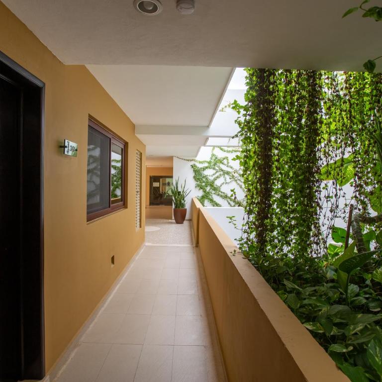 El Faro 301 Coral - Two-Bedroom Apartment - 26