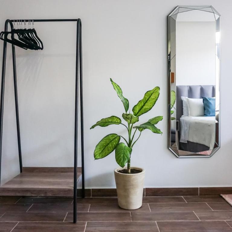 Cozy Caribe Studio Netflix Speed Wifi - Studio - 28