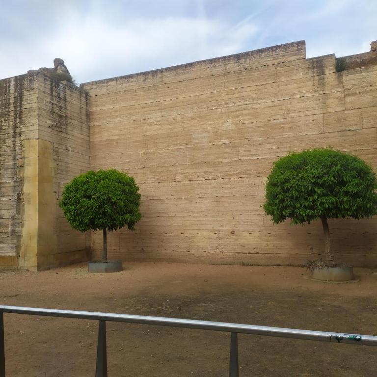 Los Patios de Cordoba - Apartamento de 3 dormitorios - 27