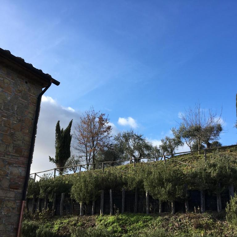 Villa Ledonia - Villa - 39