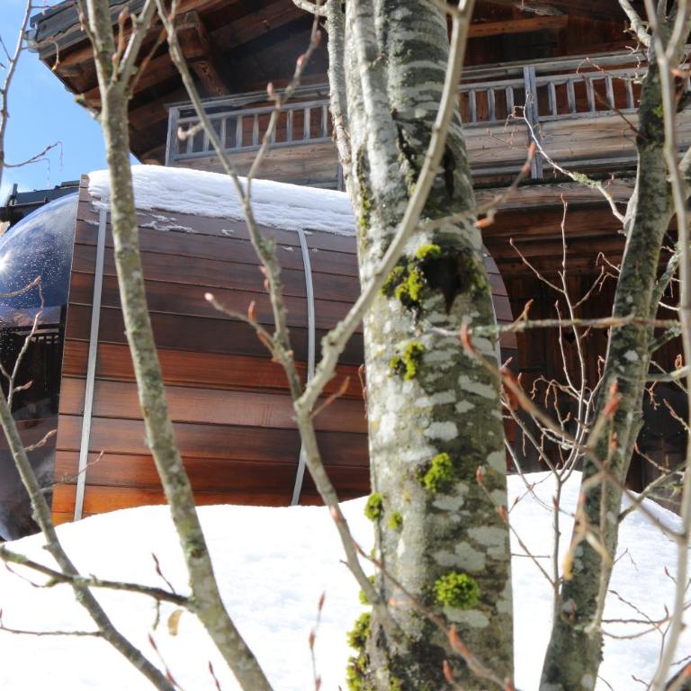 LES 3 CIMES BLANCHES - Chalet - 8