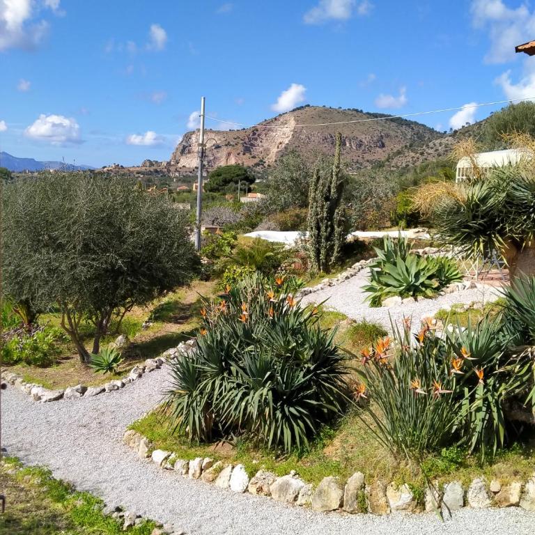 Villa Paladino Solunto - One-Bedroom House - 8