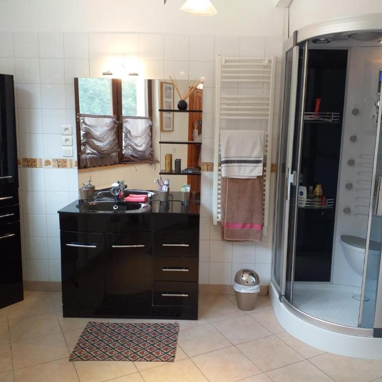 Appartement du lac - Appartement - Vue sur Lac - 13