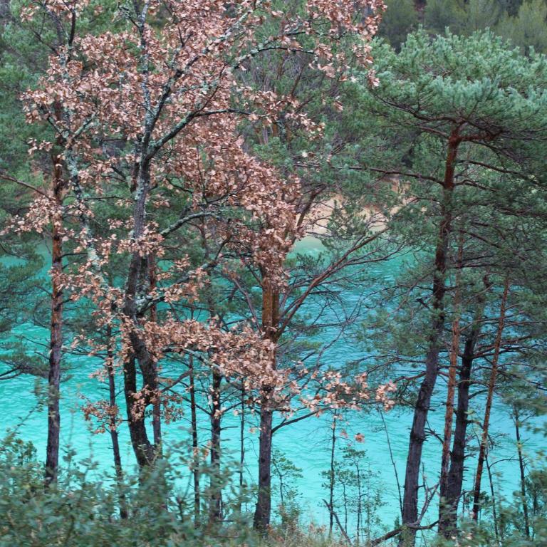 Appartement du lac - Appartement - Vue sur Lac - 16