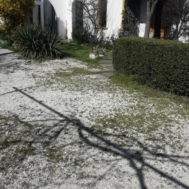 Lovely hayloft - Incantevole barchessa - Appartamento - 9