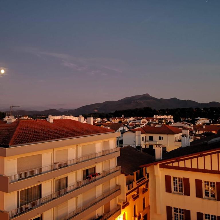 Studio hyper centre avec vue sur les Pyrénées - Apartamento de 1 dormitorio - 15