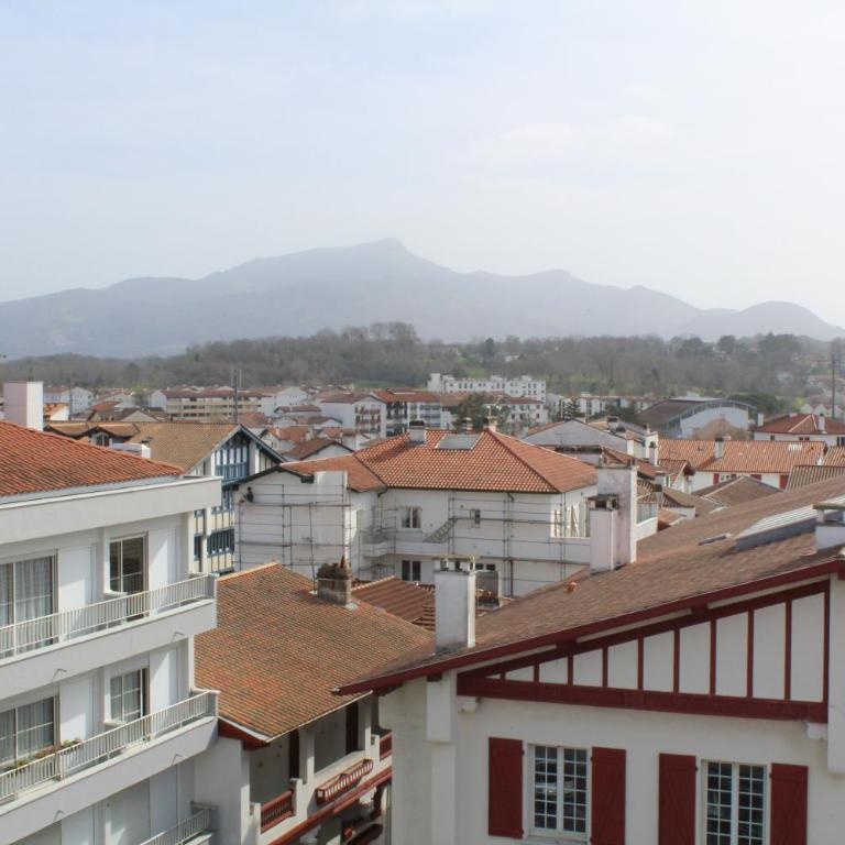 Studio hyper centre avec vue sur les Pyrénées - Apartamento de 1 dormitorio - 16