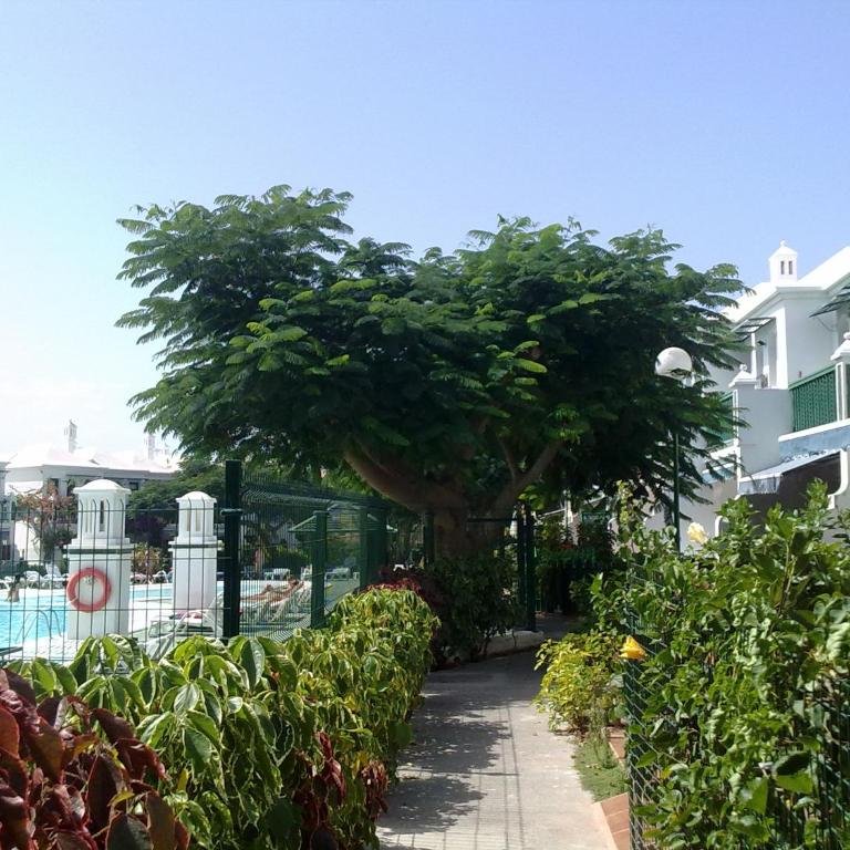 Acogedor bungalow muy luminoso - One-Bedroom House - 37