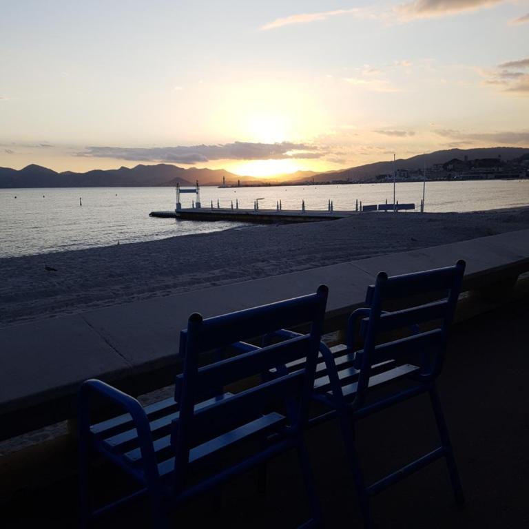 ++++ renovated cosy 50m2 sunny flat / balcony / close to beach and to the Palais des festivals ++++ - Appartamento con 1 Camera da Letto - 1