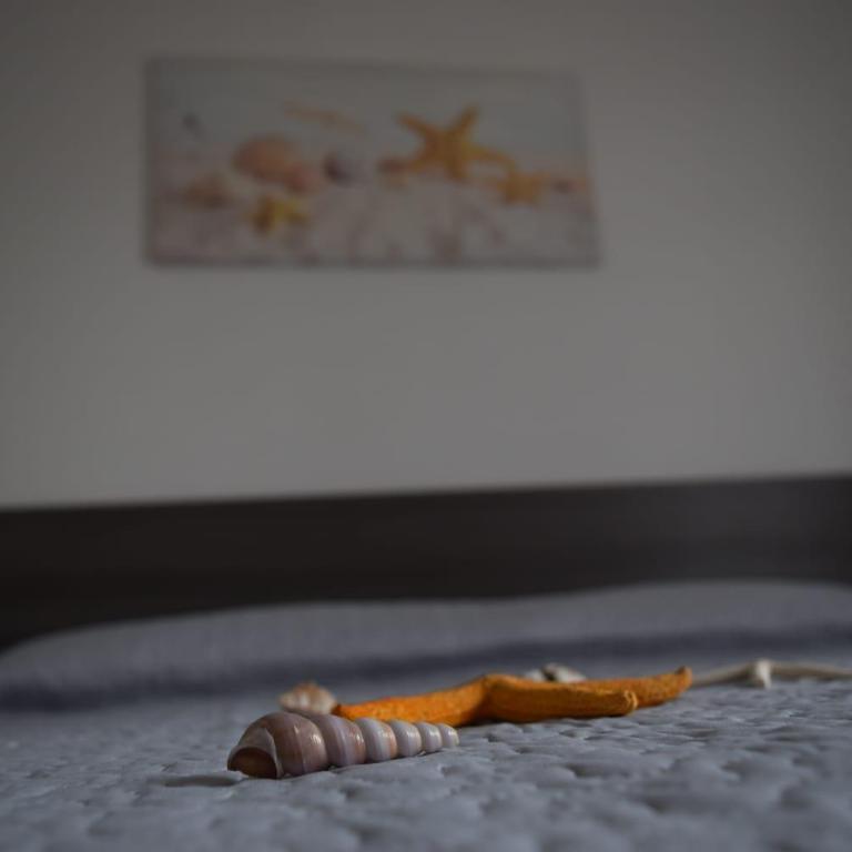 Appartamenti AcquaChiara - Appartamento con 2 Camere da Letto - 1