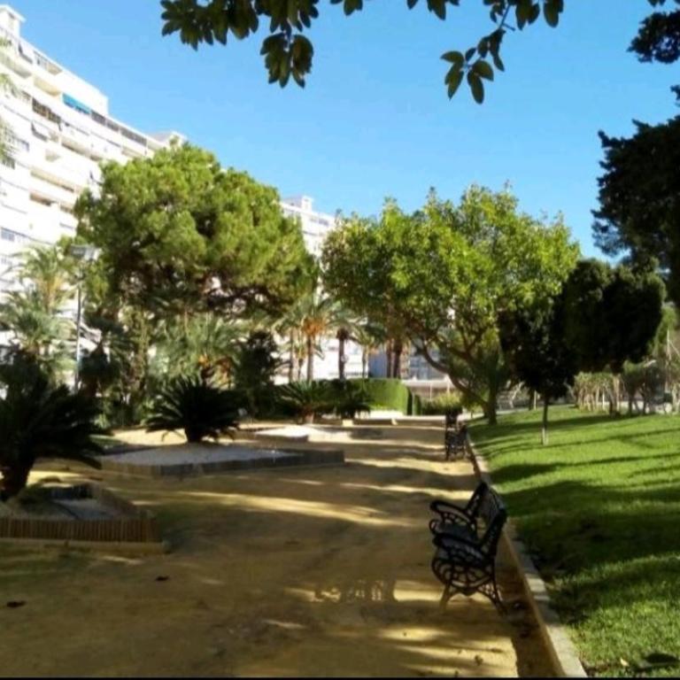Playa de San Juan ALICANTE - Studio with Terrace - 34