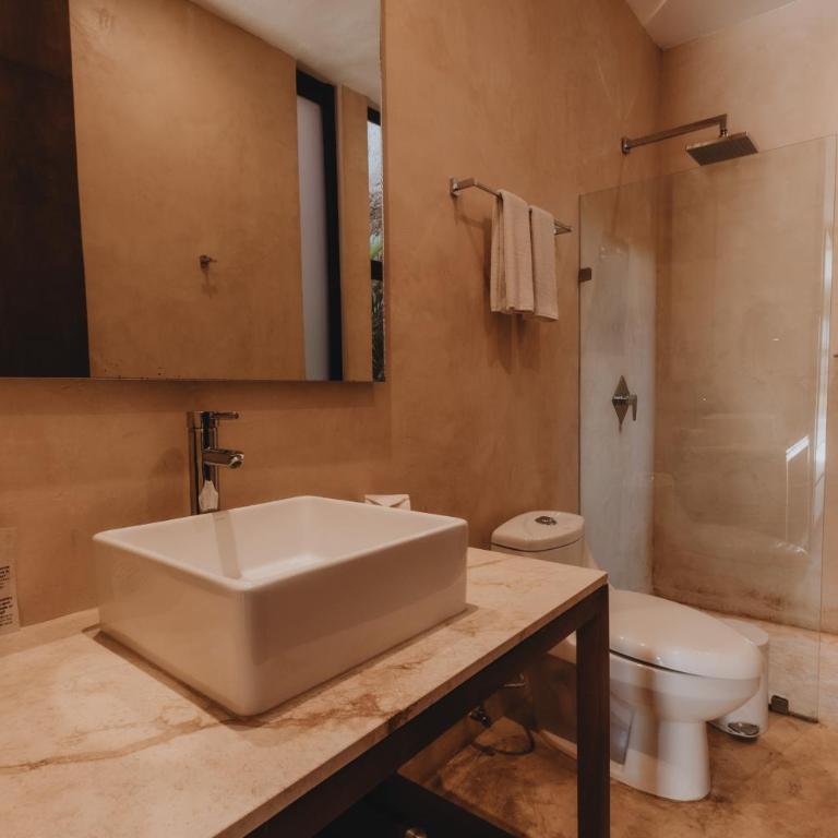 Casona 61 Boutique Hotel Mérida - Habitación Deluxe - 4