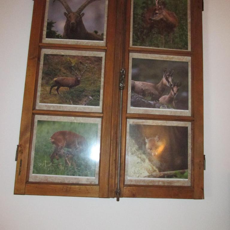 Casa Bamby - Großes Apartment mit 2 Schlafzimmern - 13
