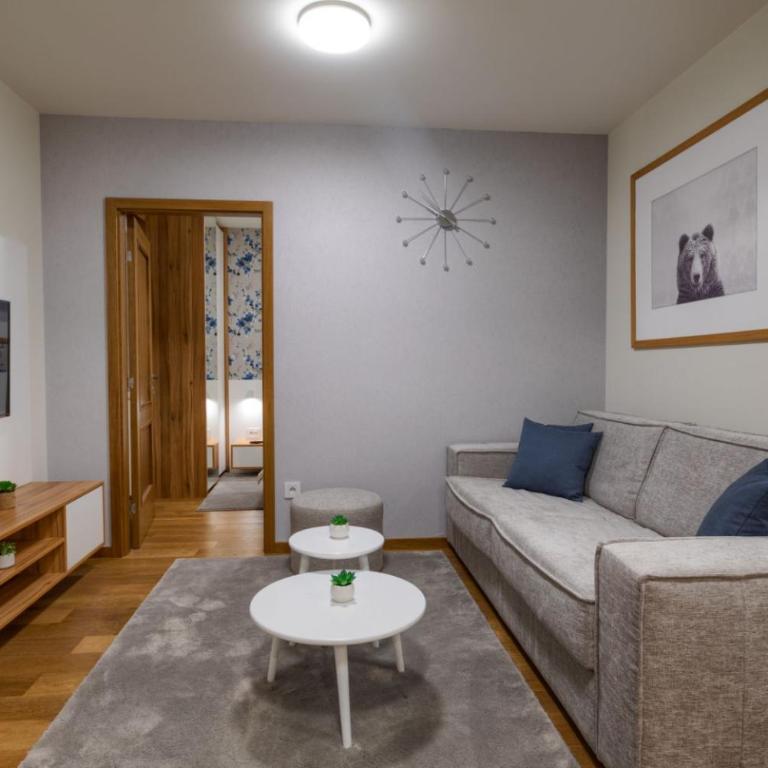 Vila Borova Zlatibor Apartments - Apartman sa 1 Spavaćom Sobom - 13