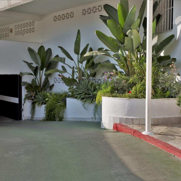 Ap velilla - Apartamento de 1 dormitorio - 6