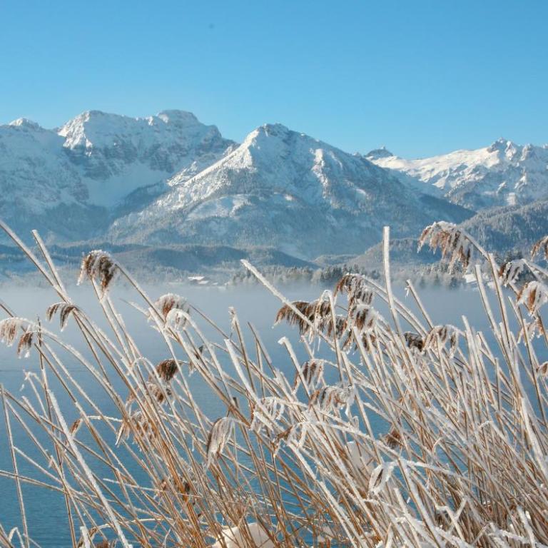 Seehotel Hartung & Ferienappartements - Apartment Alpina mit Seeblick - 6