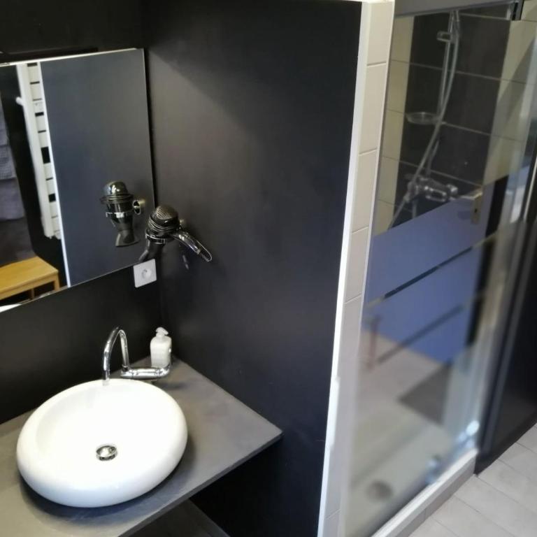 Côté Cour - Appartement 1 Chambre avec Terrasse - 12