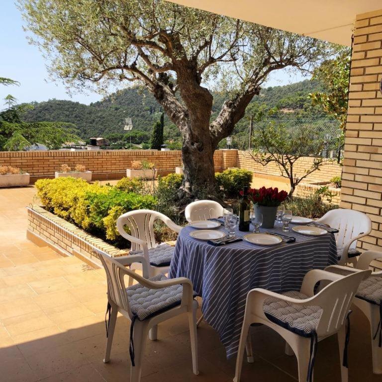 Kerstin Bruns- Casa el Molí - Casa de 3 dormitorios - 3