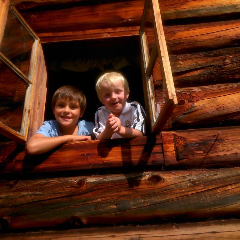 Ampferkaralm Hütte - Chalet 3 Chambres - 4