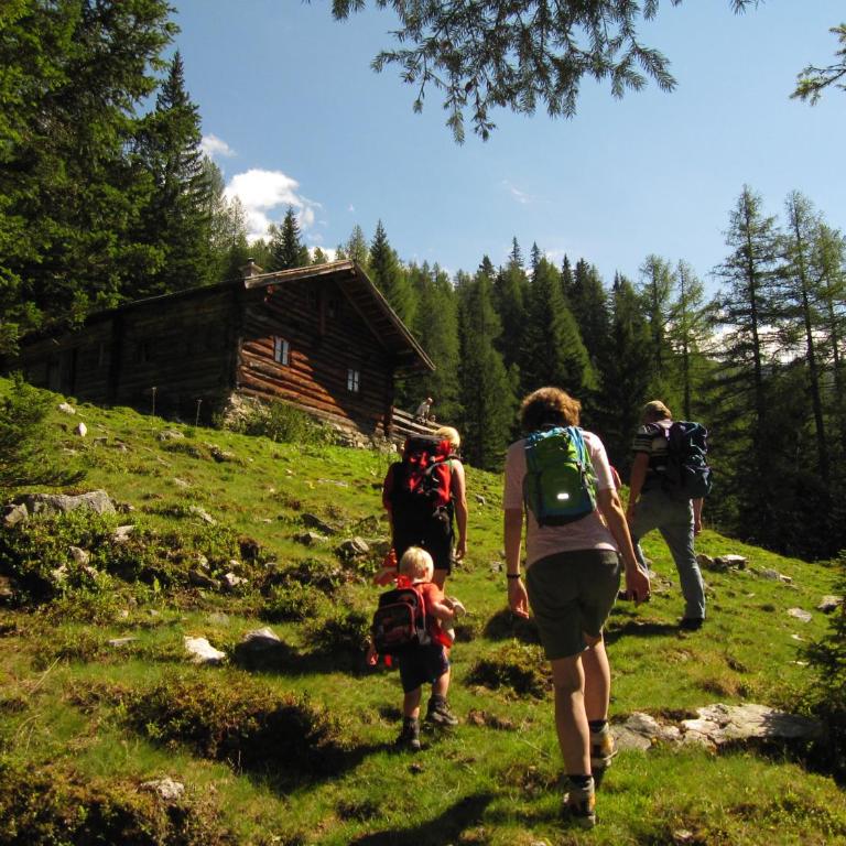 Ampferkaralm Hütte - Chalet 3 Chambres - 16