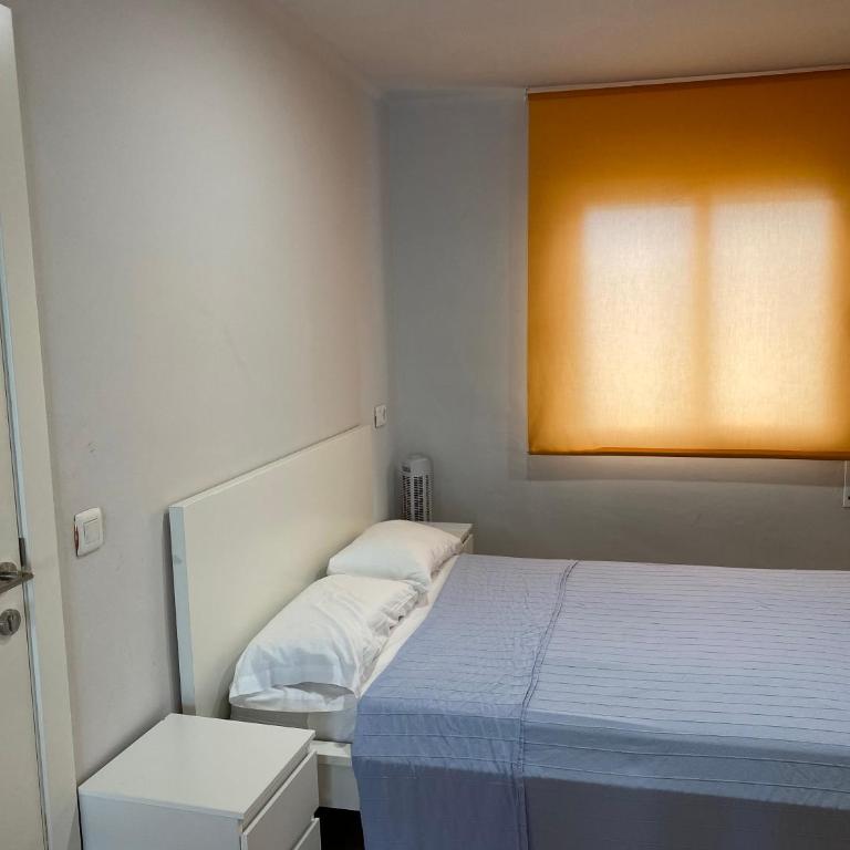 Estudis Laura - Estudio (4 adultos) - 2
