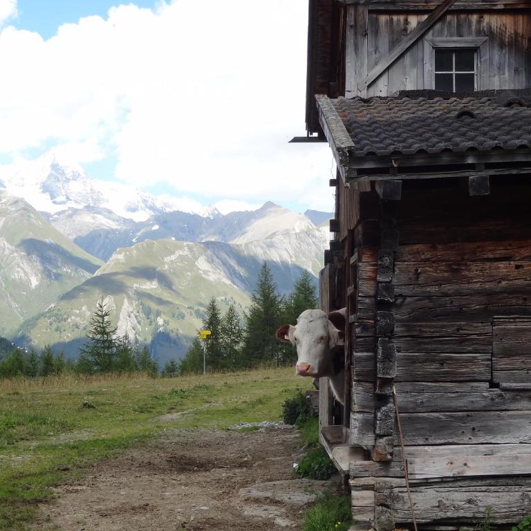 Ferienhaus Meins - Casa de 5 dormitorios con balcón - 91