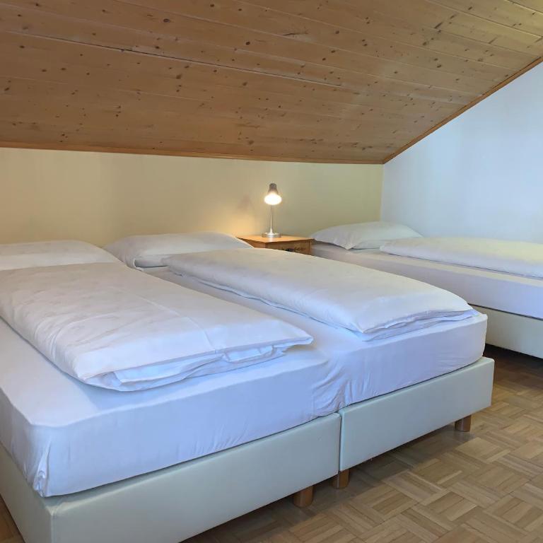 Appartamenti Ladina - Appartamento con 3 Camere da Letto - 23