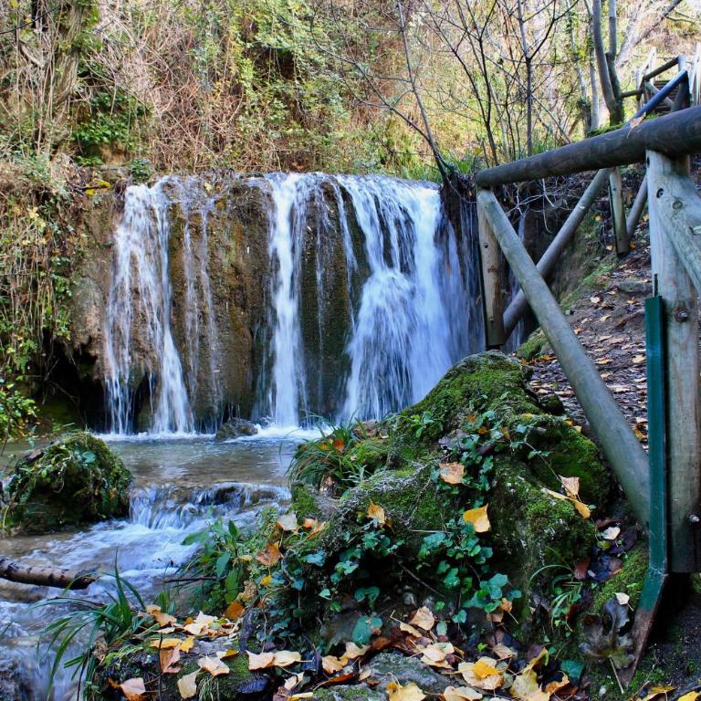 Alojamiento Rural Fuente De La Glorieta - Vacation Home - 51