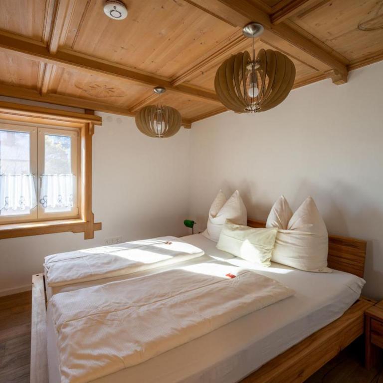 Ferienwohnung Buchenberg - Appartamento - 16