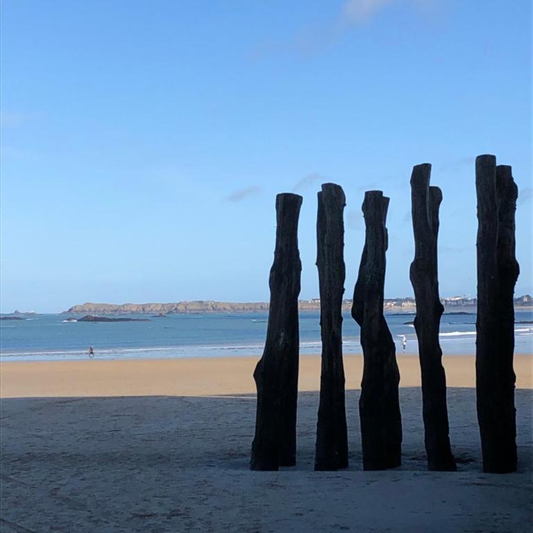 Le Cézembre, au pied de la plage - Appartement 1 Chambre - 29