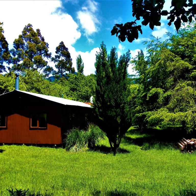 Cabaña Calcurrupe - Lago Ranco - One-Bedroom House - 1