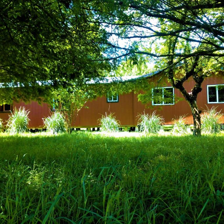 Cabaña Calcurrupe - Lago Ranco - One-Bedroom House - 3