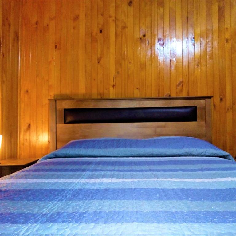 Cabaña Calcurrupe - Lago Ranco - One-Bedroom House - 11