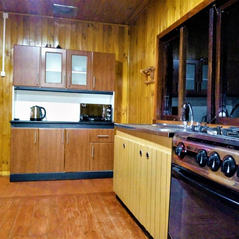 Cabaña Calcurrupe - Lago Ranco - One-Bedroom House - 6