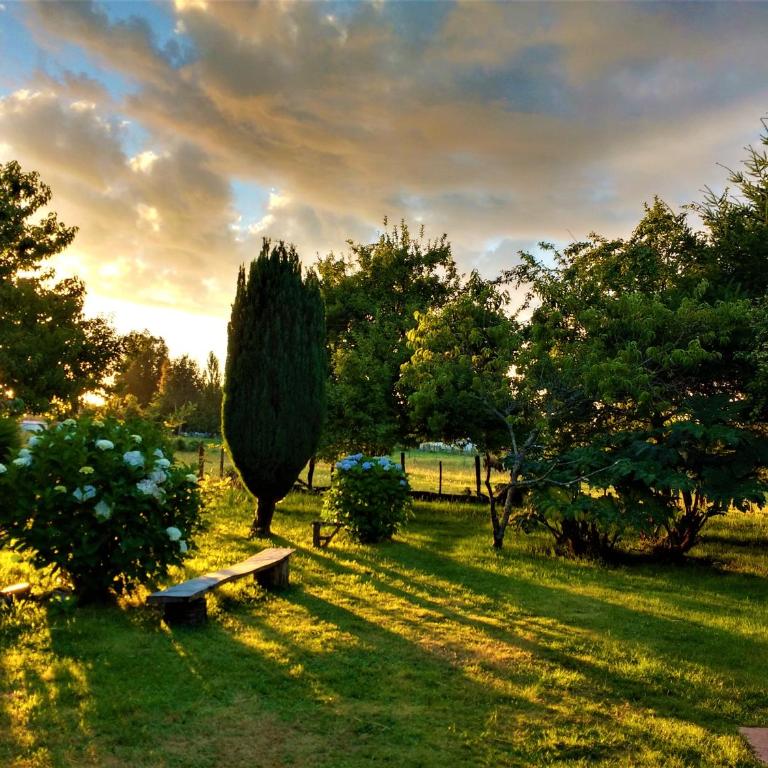Cabaña Calcurrupe - Lago Ranco - One-Bedroom House - 14