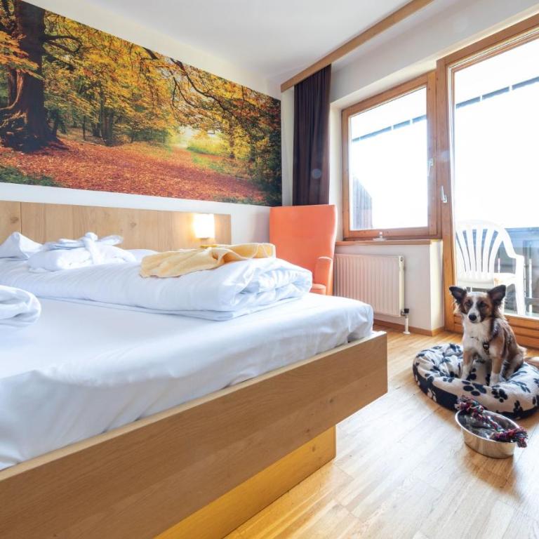 Almfrieden Hotel & Romantikchalet - Superior Doppelzimmer - 1