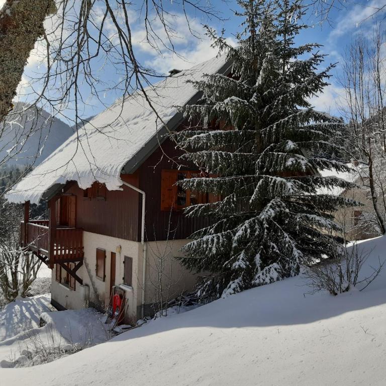 Le Chal'heureux grand chalet familial 8 personnes - Chalet - 12