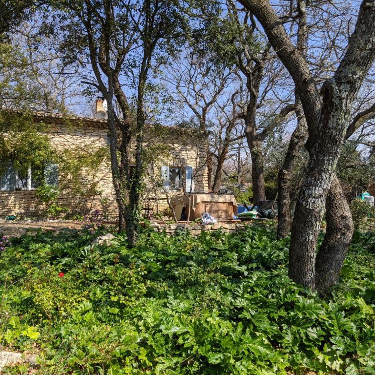 Les Rapieres Mireio - Two-Bedroom House with veranda and without Jacuzzi - 30
