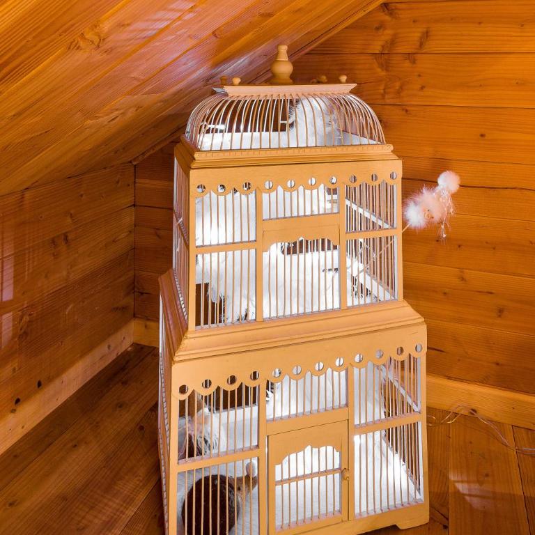 Chalet Carpe Diem - Chalet 2 Chambres - 18