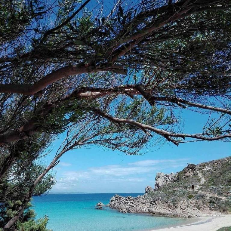 Home La Bufera - One-Bedroom Apartment - 56