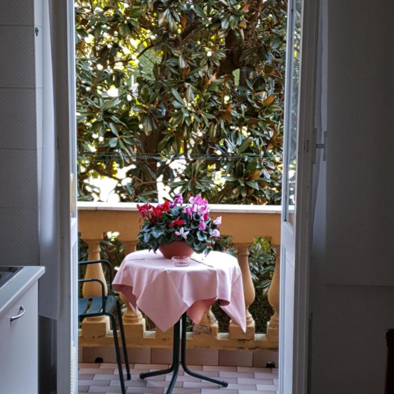 Sabini Rentals - Affittacamere - Monolocale con Vista Giardino - 5