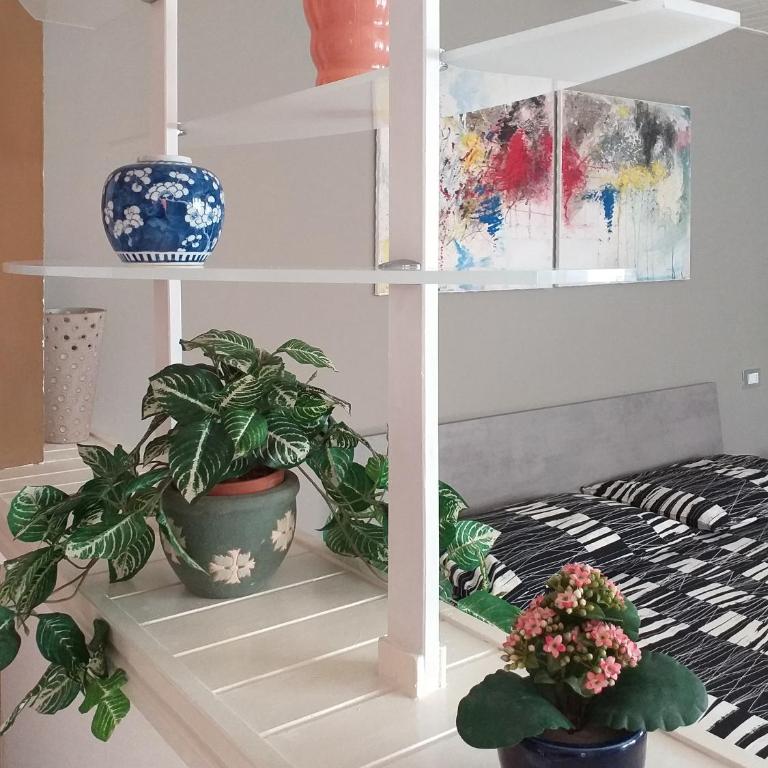 L'Appartamentino - One-Bedroom Apartment - 10