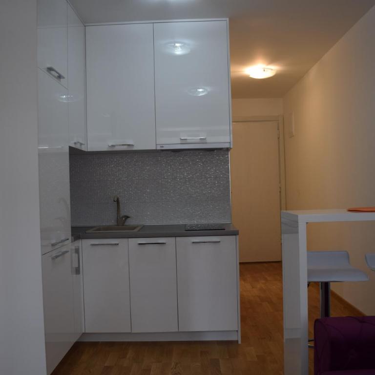 Mateja&Fontana Apartment - Apartman sa 1 Spavaćom Sobom - 9