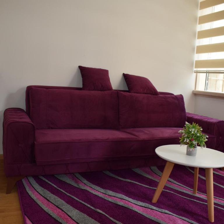 Mateja&Fontana Apartment - Apartman sa 1 Spavaćom Sobom - 4