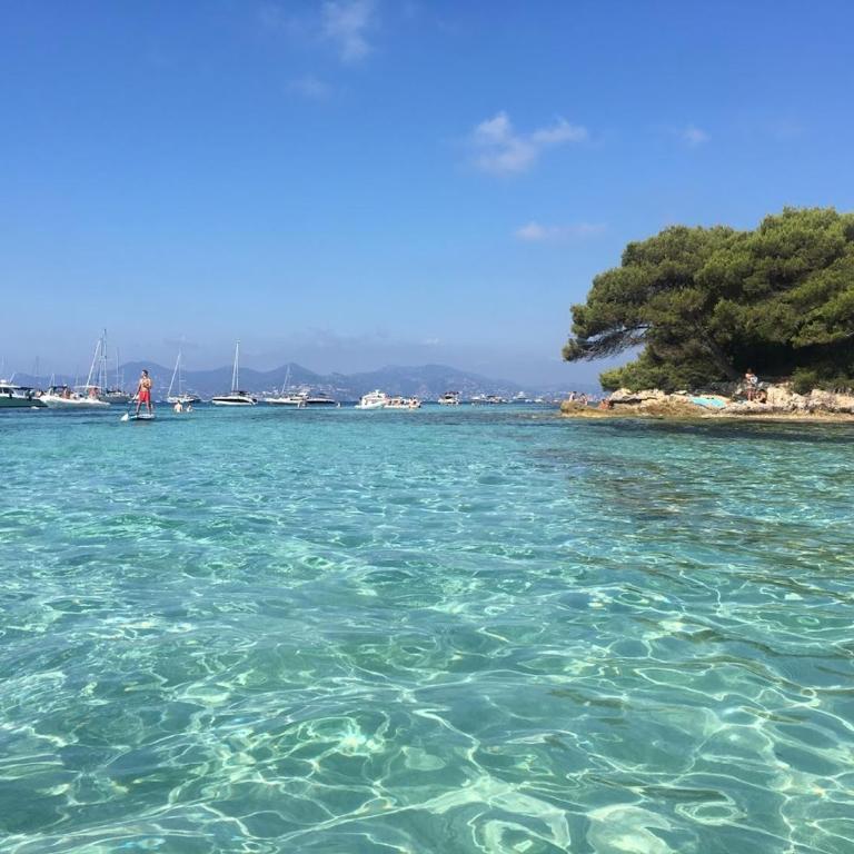 Cannes Center - Appartement 1 Chambre - 20