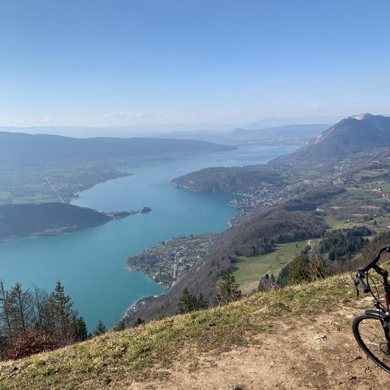 La Merle Rez-de-jardin Vue extraordinaire Lac Annecy - Climatisation - Appartement - Vue sur Lac - 22