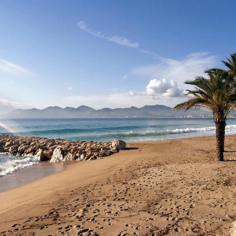 Cannes Plage - Appartement 1 Chambre - 15