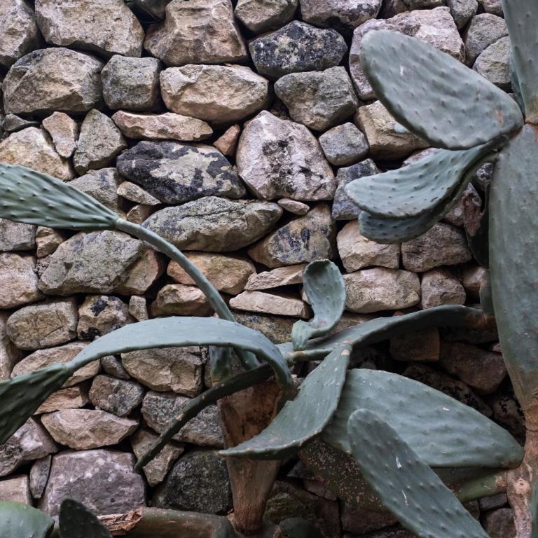 IL CORVO DI PIETRA - Casa Vacanze - 34