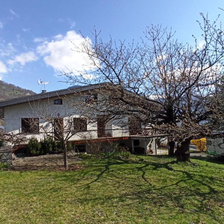 Chalet avec jardin - Chalet 1 Chambre - 4