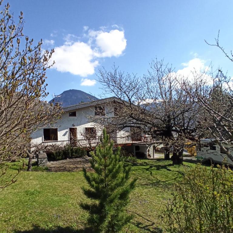 Chalet avec jardin - Chalet 1 Chambre - 3